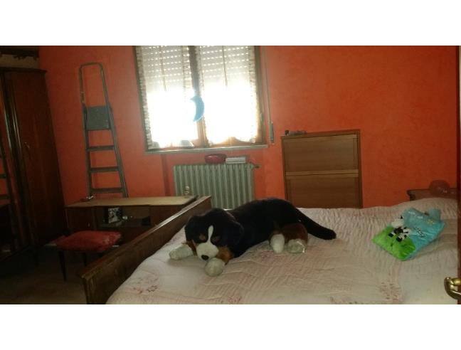 Anteprima foto 6 - Appartamento in Vendita a Nonantola (Modena)