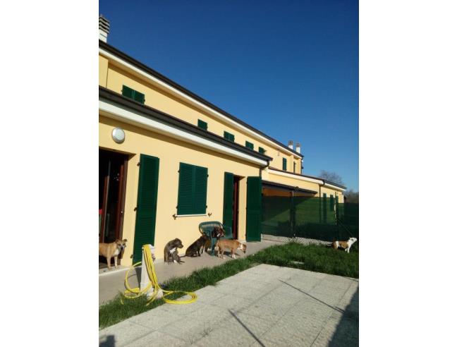 Anteprima foto 1 - Appartamento in Vendita a Polverigi (Ancona)