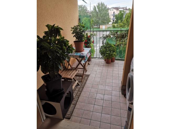 Anteprima foto 3 - Appartamento in Vendita a Rimini (Rimini)