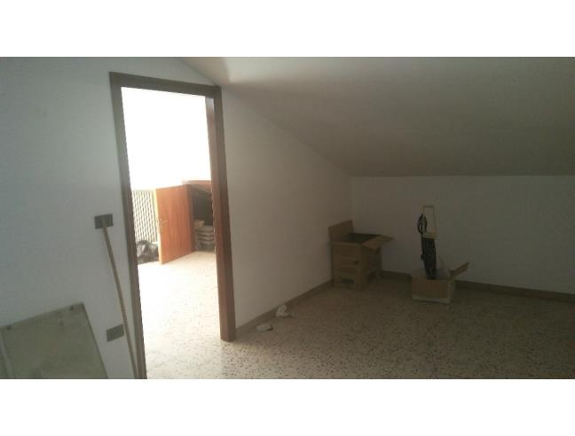 Anteprima foto 3 - Appartamento in Vendita a San Paolo di Civitate (Foggia)