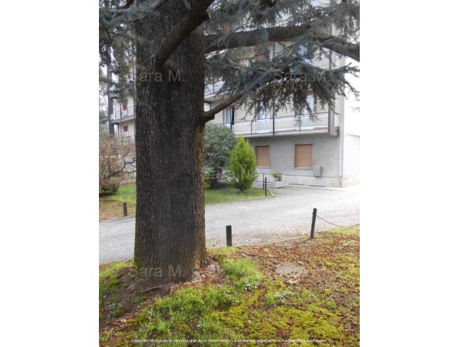 Anteprima foto 8 - Appartamento in Vendita a Somma Lombardo (Varese)