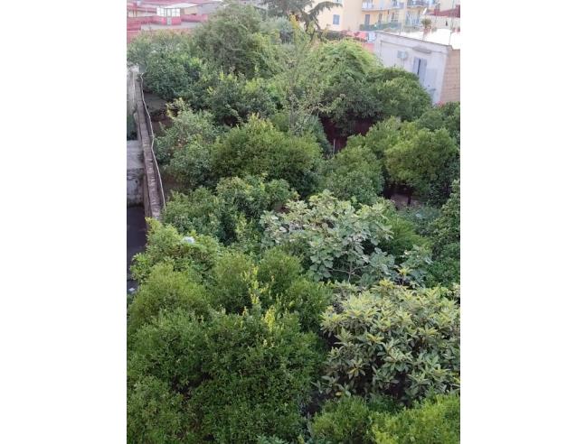 Anteprima foto 8 - Appartamento in Vendita a Torre del Greco (Napoli)