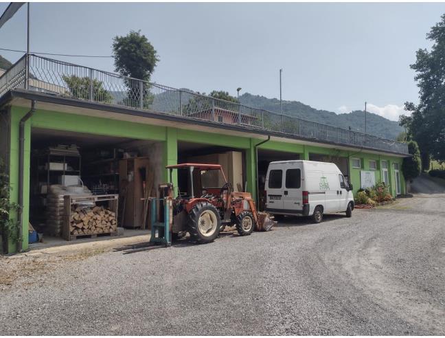 Anteprima foto 3 - Attività Azienda Agricola in Vendita a Castiglione d'Intelvi (Como)