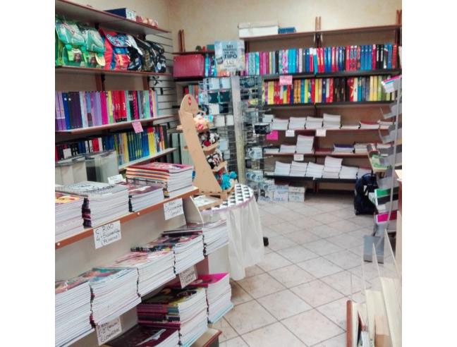 Anteprima foto 5 - Attività Cartoleria/Libreria in Vendita a Monsummano Terme (Pistoia)