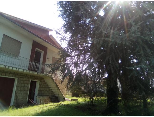 Anteprima foto 5 - Casa indipendente in Vendita a Badia Polesine - Salvaterra