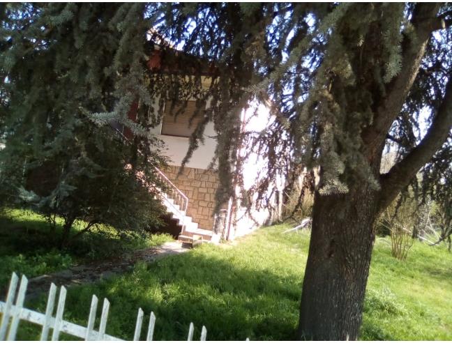 Anteprima foto 6 - Casa indipendente in Vendita a Badia Polesine - Salvaterra