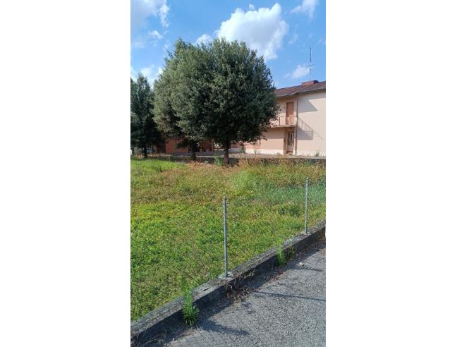 Anteprima foto 5 - Casa indipendente in Vendita a Cotignola (Ravenna)