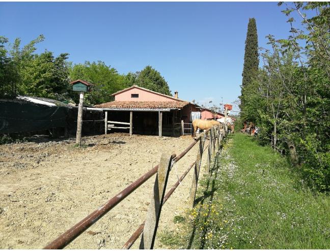 Anteprima foto 4 - Casa indipendente in Vendita a Riolo Terme (Ravenna)