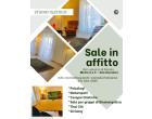 Foto - Affitto Camera Singola in Appartamento da Privato a Roma - San Giovanni