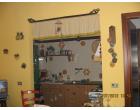 Foto - Appartamento in Vendita a Rodi Garganico (Foggia)