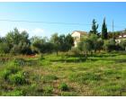 Foto - Terreno Edificabile Residenziale in Vendita a Calvi dell'Umbria - Poggiolo