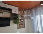 Foto - Appartamento in Affitto a Livorno - Garibaldi