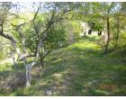 Foto - Rustico/Casale in Vendita a Pratella - Mastrati Foto - Rustico/Casale in Vendita a Pratella - Mastrati