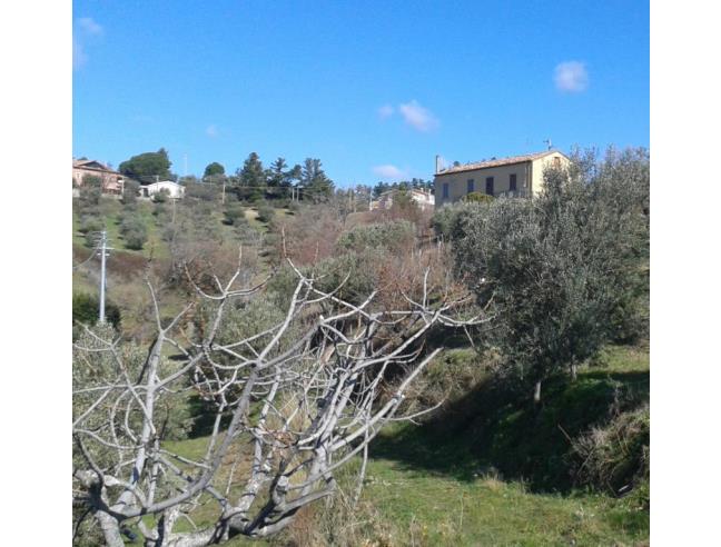 Anteprima foto 2 - Rustico/Casale in Vendita a Acri (Cosenza)