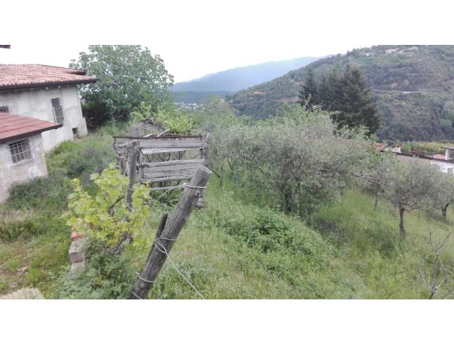 Anteprima foto 7 - Rustico/Casale in Vendita a Acri - Guglielmo