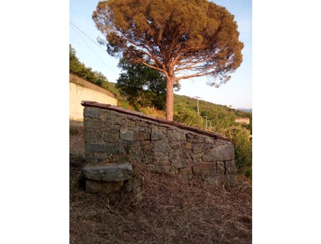 Anteprima foto 4 - Rustico/Casale in Vendita a Castell'Umberto (Messina)