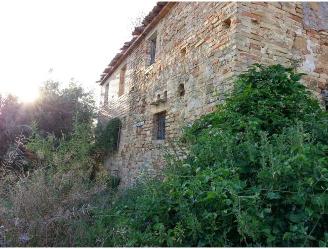 Anteprima foto 8 - Rustico/Casale in Vendita a Massignano (Ascoli Piceno)