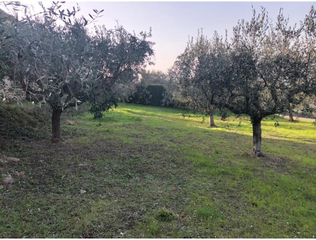 Anteprima foto 3 - Rustico/Casale in Vendita a Roseto degli Abruzzi - Montepagano