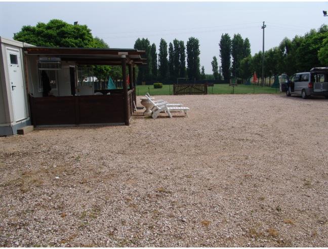 Anteprima foto 3 - Terreno Agricolo/Coltura in Affitto a Bovolone (Verona)