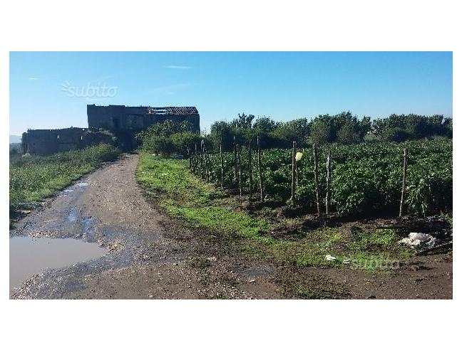 Anteprima foto 1 - Terreno Agricolo/Coltura in Vendita a Acerra - Gaudello