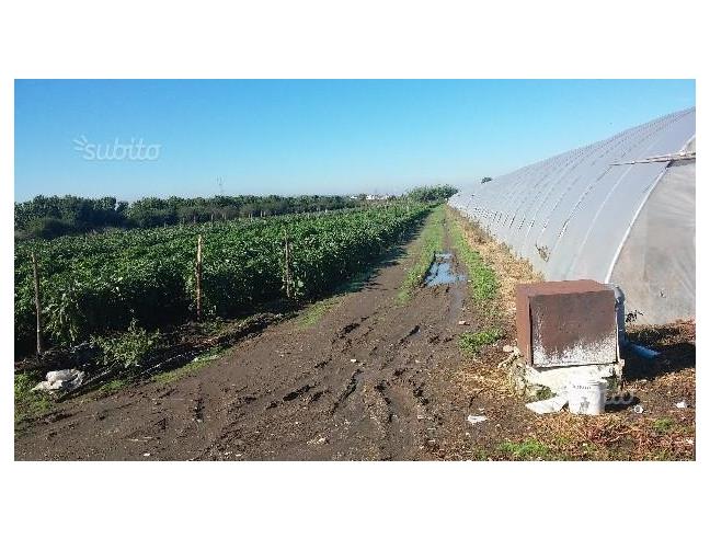 Anteprima foto 2 - Terreno Agricolo/Coltura in Vendita a Acerra - Gaudello