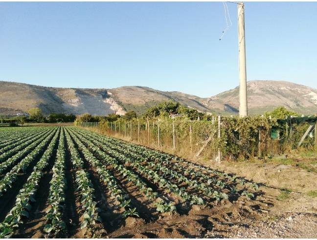 Anteprima foto 1 - Terreno Agricolo/Coltura in Vendita a Acerra - Pezzalunga