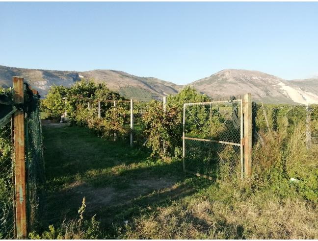 Anteprima foto 2 - Terreno Agricolo/Coltura in Vendita a Acerra - Pezzalunga
