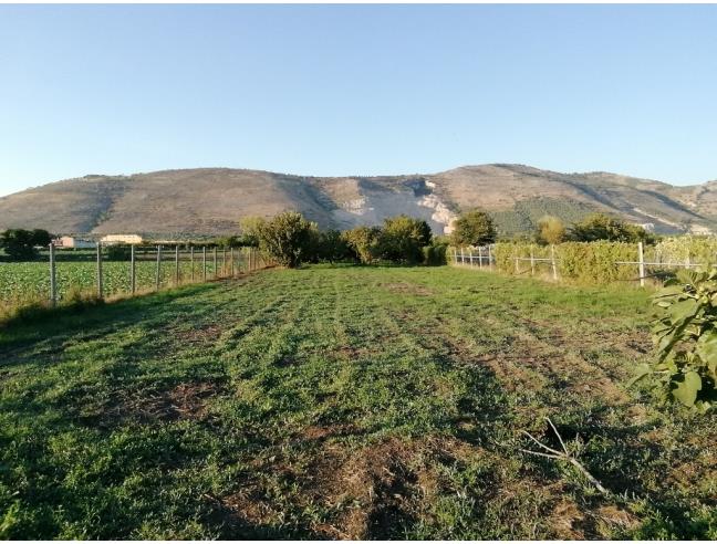 Anteprima foto 8 - Terreno Agricolo/Coltura in Vendita a Acerra - Pezzalunga