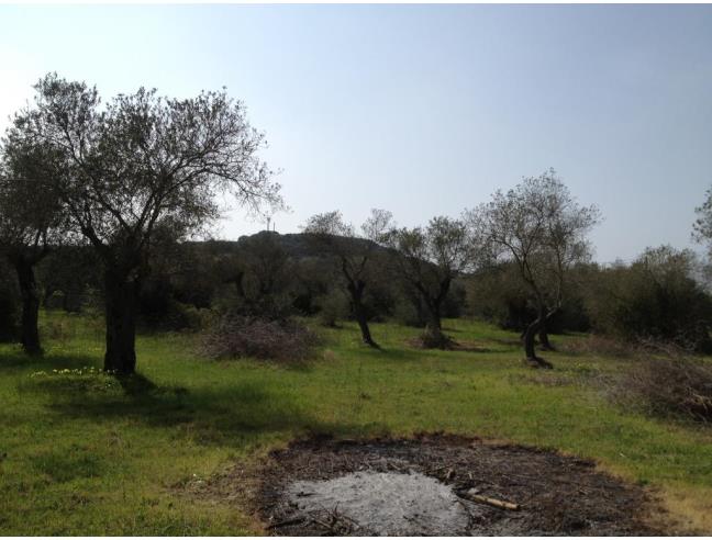 Anteprima foto 2 - Terreno Agricolo/Coltura in Vendita a Alghero (Sassari)