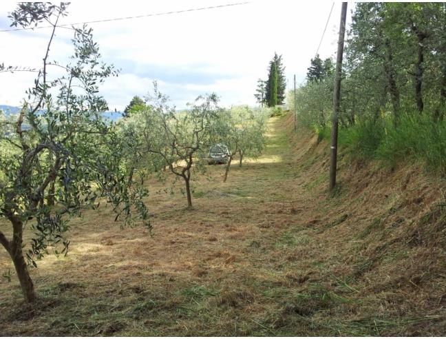 Anteprima foto 1 - Terreno Agricolo/Coltura in Vendita a Arezzo - Ceciliano