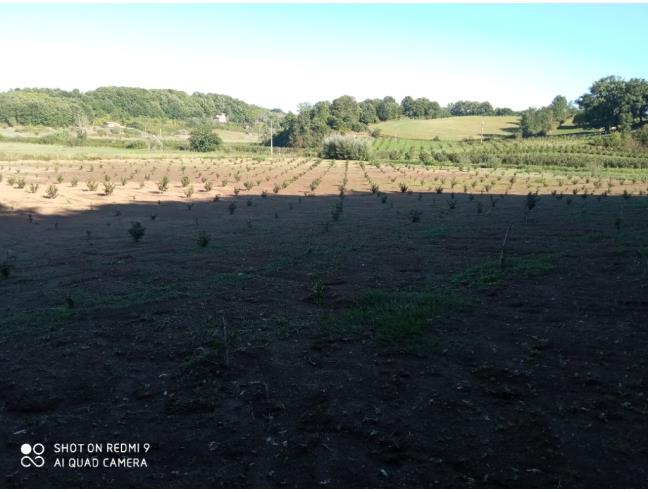 Anteprima foto 1 - Terreno Agricolo/Coltura in Vendita a Bassano Romano (Viterbo)