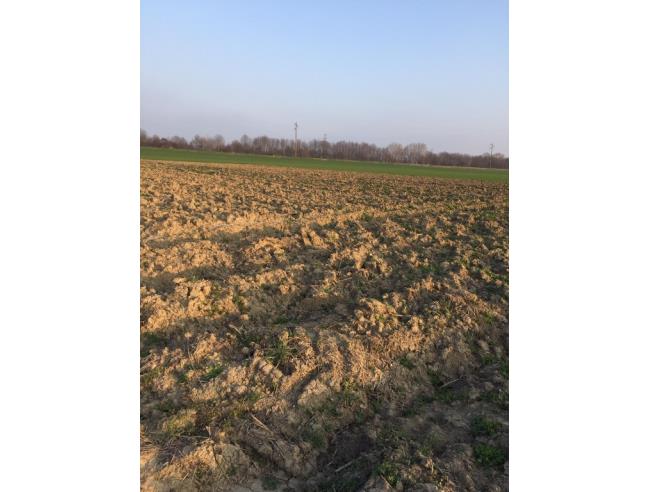 Anteprima foto 7 - Terreno Agricolo/Coltura in Vendita a Boretto (Reggio nell'Emilia)