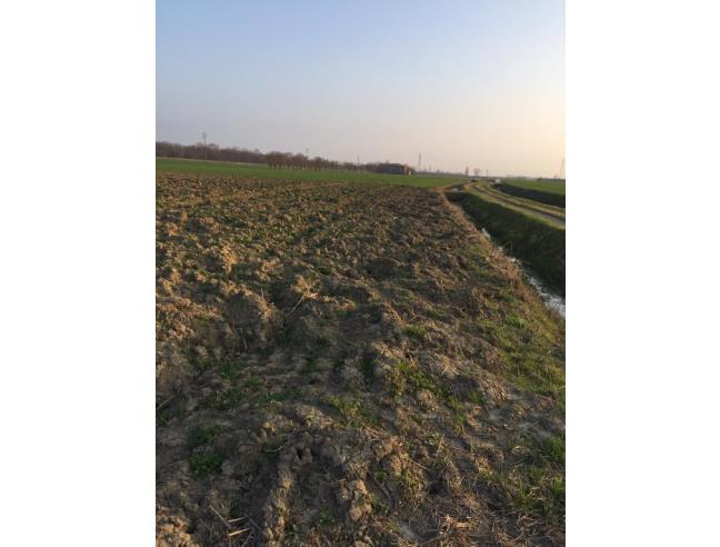 Anteprima foto 8 - Terreno Agricolo/Coltura in Vendita a Boretto (Reggio nell'Emilia)