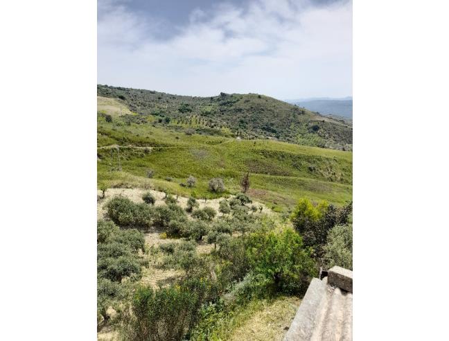 Anteprima foto 3 - Terreno Agricolo/Coltura in Vendita a Caltabellotta (Agrigento)