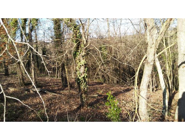 Anteprima foto 2 - Terreno Agricolo/Coltura in Vendita a Capena (Roma)