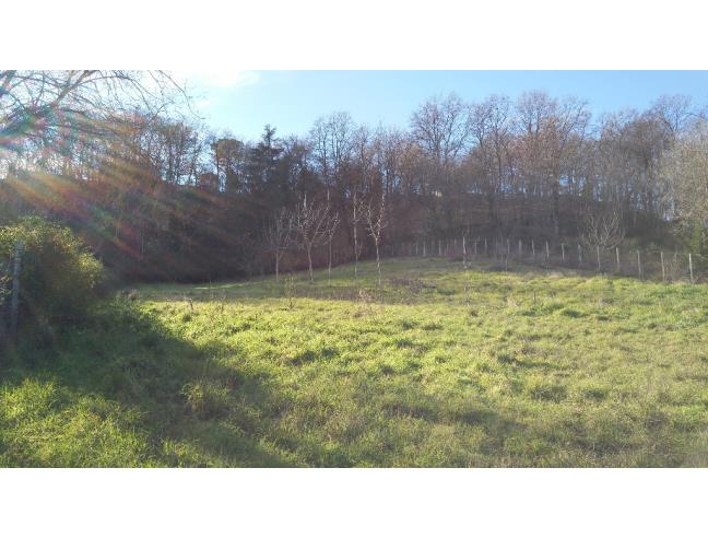 Anteprima foto 4 - Terreno Agricolo/Coltura in Vendita a Capena (Roma)