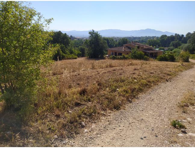 Anteprima foto 5 - Terreno Agricolo/Coltura in Vendita a Capena (Roma)