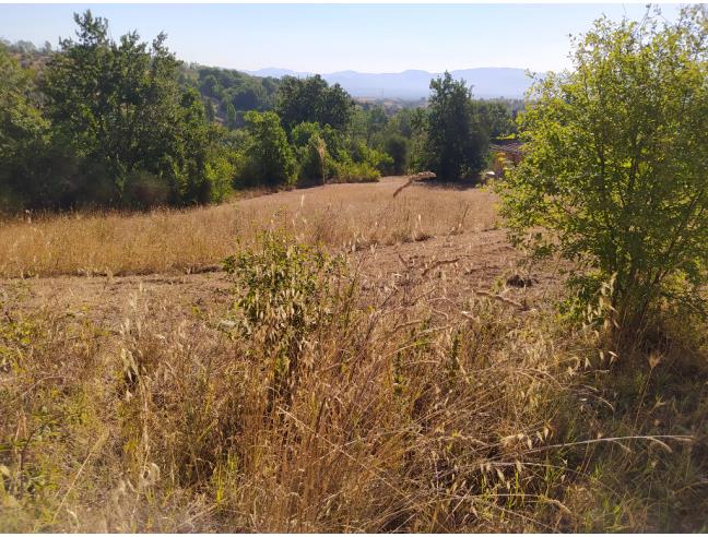 Anteprima foto 6 - Terreno Agricolo/Coltura in Vendita a Capena (Roma)