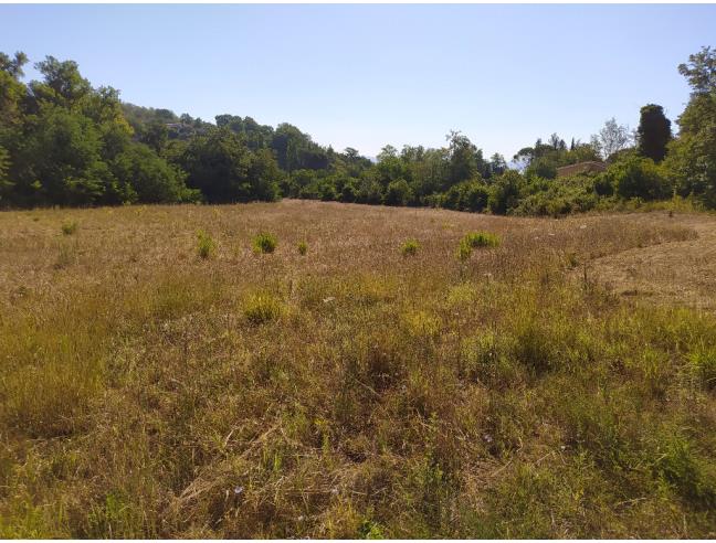 Anteprima foto 7 - Terreno Agricolo/Coltura in Vendita a Capena (Roma)