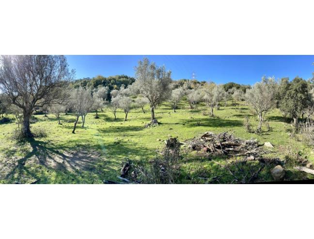 Anteprima foto 4 - Terreno Agricolo/Coltura in Vendita a Caronia (Messina)