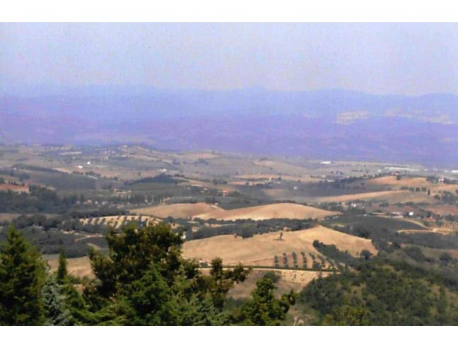 Anteprima foto 4 - Terreno Agricolo/Coltura in Vendita a Cinigiano (Grosseto)