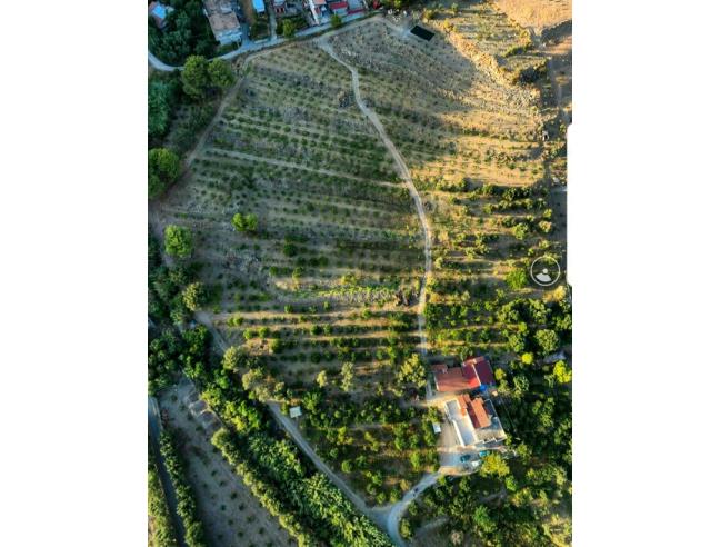 Anteprima foto 1 - Terreno Agricolo/Coltura in Vendita a Condofuri (Reggio Calabria)