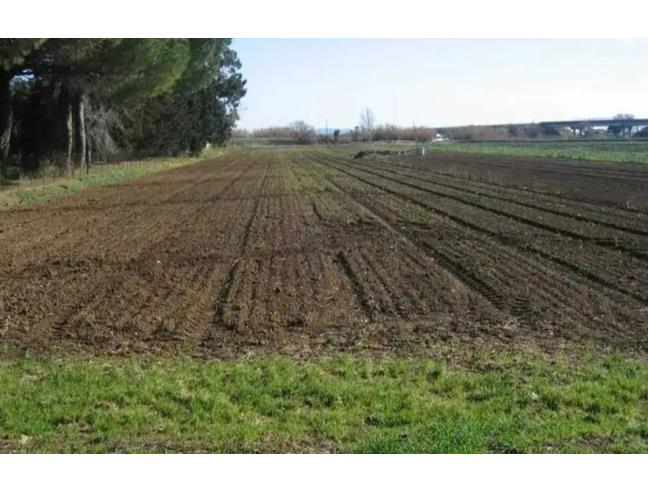 Anteprima foto 1 - Terreno Agricolo/Coltura in Vendita a Eboli - Bivio Di Santa Cecilia