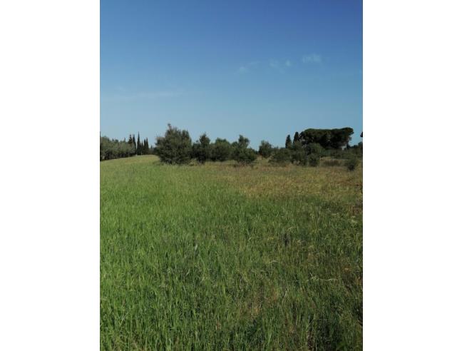 Anteprima foto 4 - Terreno Agricolo/Coltura in Vendita a Elmas (Cagliari)