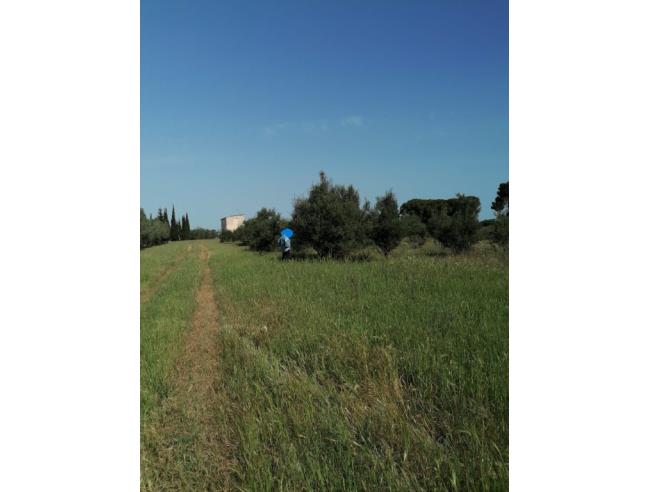 Anteprima foto 5 - Terreno Agricolo/Coltura in Vendita a Elmas (Cagliari)