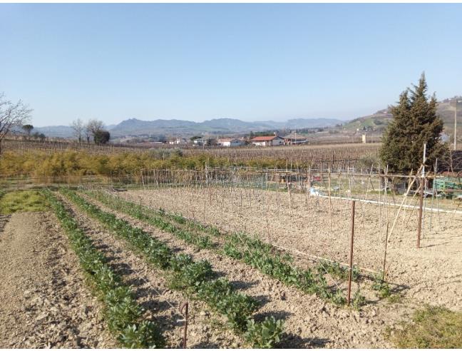 Anteprima foto 7 - Terreno Agricolo/Coltura in Vendita a Faenza (Ravenna)