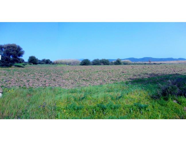 Anteprima foto 3 - Terreno Agricolo/Coltura in Vendita a Giba (Carbonia-Iglesias)