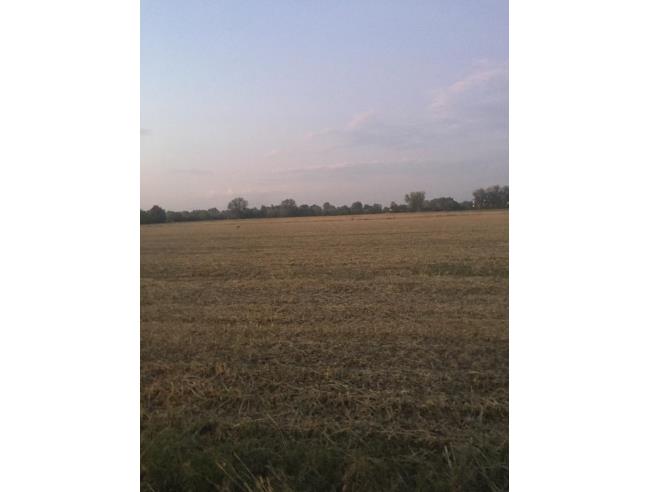 Anteprima foto 1 - Terreno Agricolo/Coltura in Vendita a Gonzaga - Palidano