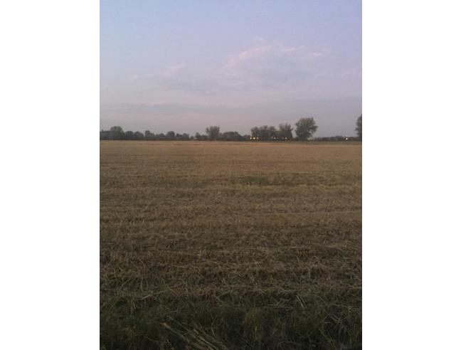 Anteprima foto 2 - Terreno Agricolo/Coltura in Vendita a Gonzaga - Palidano