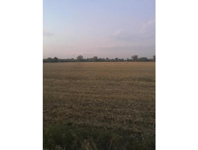 Anteprima foto 3 - Terreno Agricolo/Coltura in Vendita a Gonzaga - Palidano